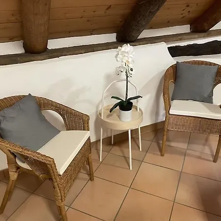 Charming Retreat- 100-year-old Stone Rustico Holiday home *